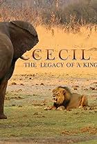 Cecil: The Legacy of a King