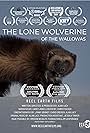 The Lone Wolverine of the Wallowas (2024)