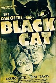 Primary photo for The Case of the Black Cat