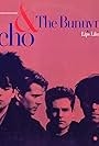 Echo & the Bunnymen: Lips Like Sugar (1987)