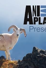 Animal Planet Presents (2013)