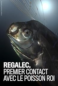 Primary photo for Régalec, premiers contacts avec le poisson roi