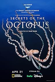 Secrets of the Octopus (2024)