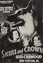 Jack Mulhall, Regis Toomey, and Rin Tin Tin Jr. in Skull and Crown (1935)