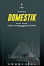 Domestique (2018)