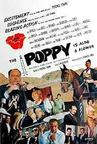 Rita Hayworth, Marcello Mastroianni, Senta Berger, Stephen Boyd, Yul Brynner, Angie Dickinson, Omar Sharif, Trevor Howard, Hugh Griffith, Jack Hawkins, E.G. Marshall, Anthony Quayle, Gilbert Roland, Harold Sakata, Barry Sullivan, and Eli Wallach in The Poppy Is Also a Flower (1966)