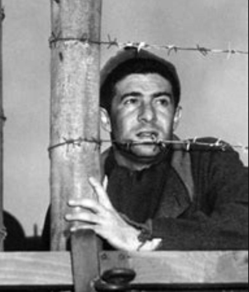 Harvey Lembeck in Stalag 17 (1953)