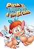 Pinky, Elmyra & the Brain (TV Series 1998–1999) Poster