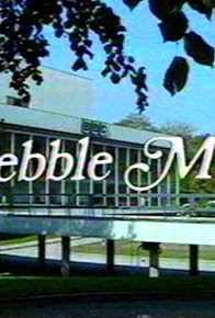 Primary photo for Pebble Mill at One