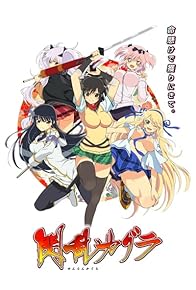 Primary photo for Senran Kagura: Ninja Flash!