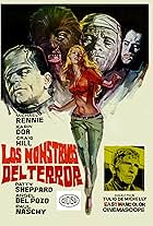 Assignment Terror (1970)