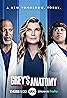 Grey's Anatomy (TV Series 2005– ) Poster