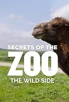 Secrets of the Zoo: The Wild Side