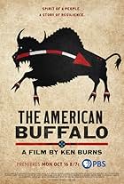 The American Buffalo (2023)