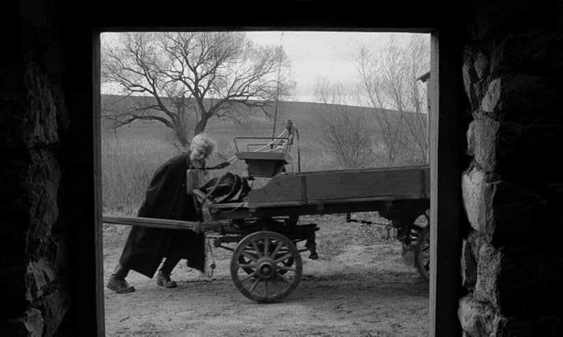 János Derzsi in The Turin Horse (2011)