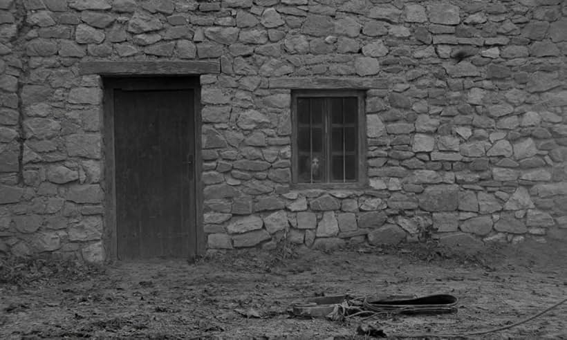 The Turin Horse (2011)