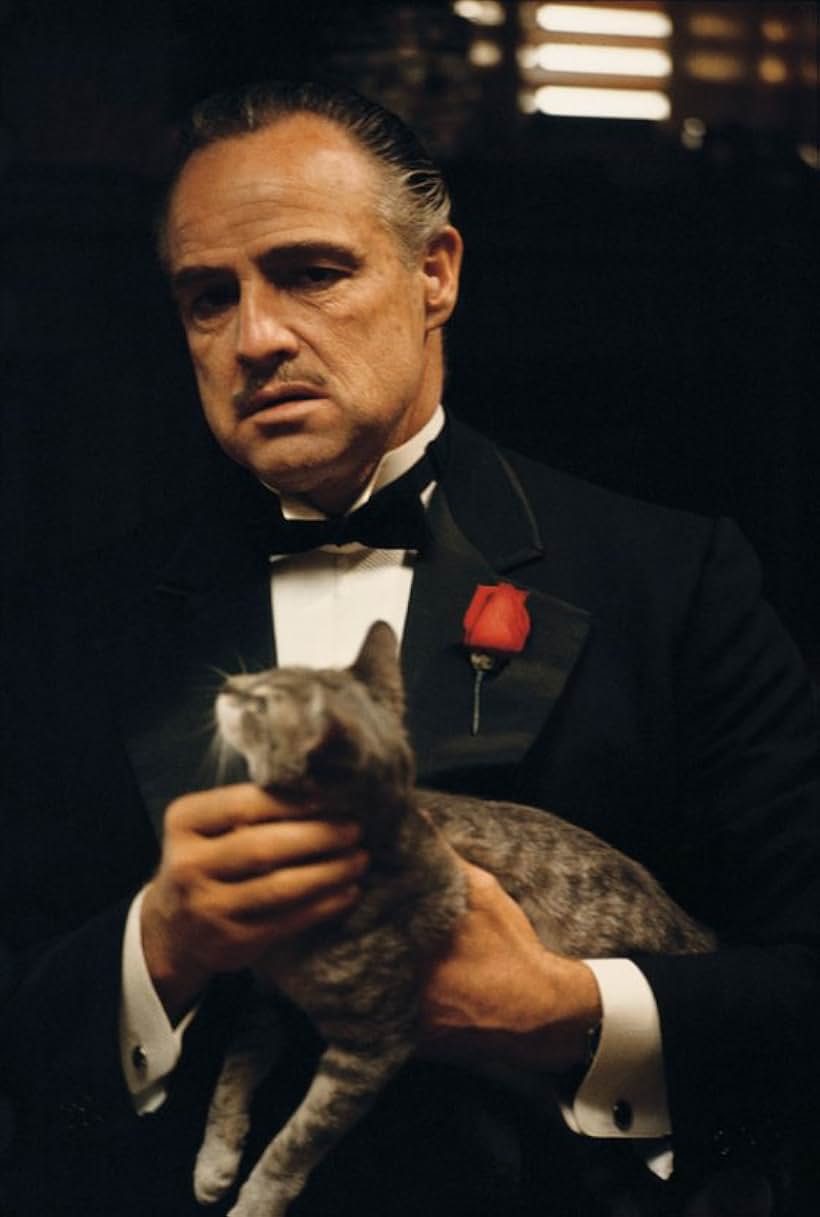 Marlon Brando in The Godfather (1972)