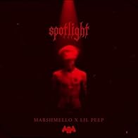 Primary photo for Marshmello & Lil Peep: Spotlight