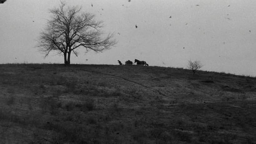 The Turin Horse (2011)