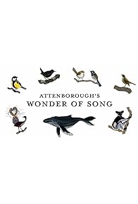 Primary photo for Attenborough's Wonder of Song