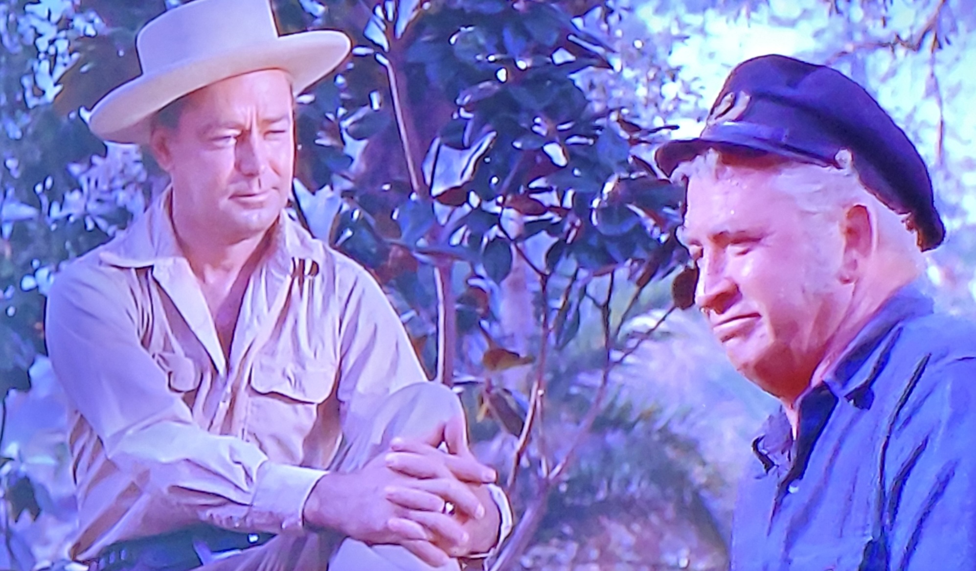 Alan Ladd and Chill Wills in Santiago (1956)