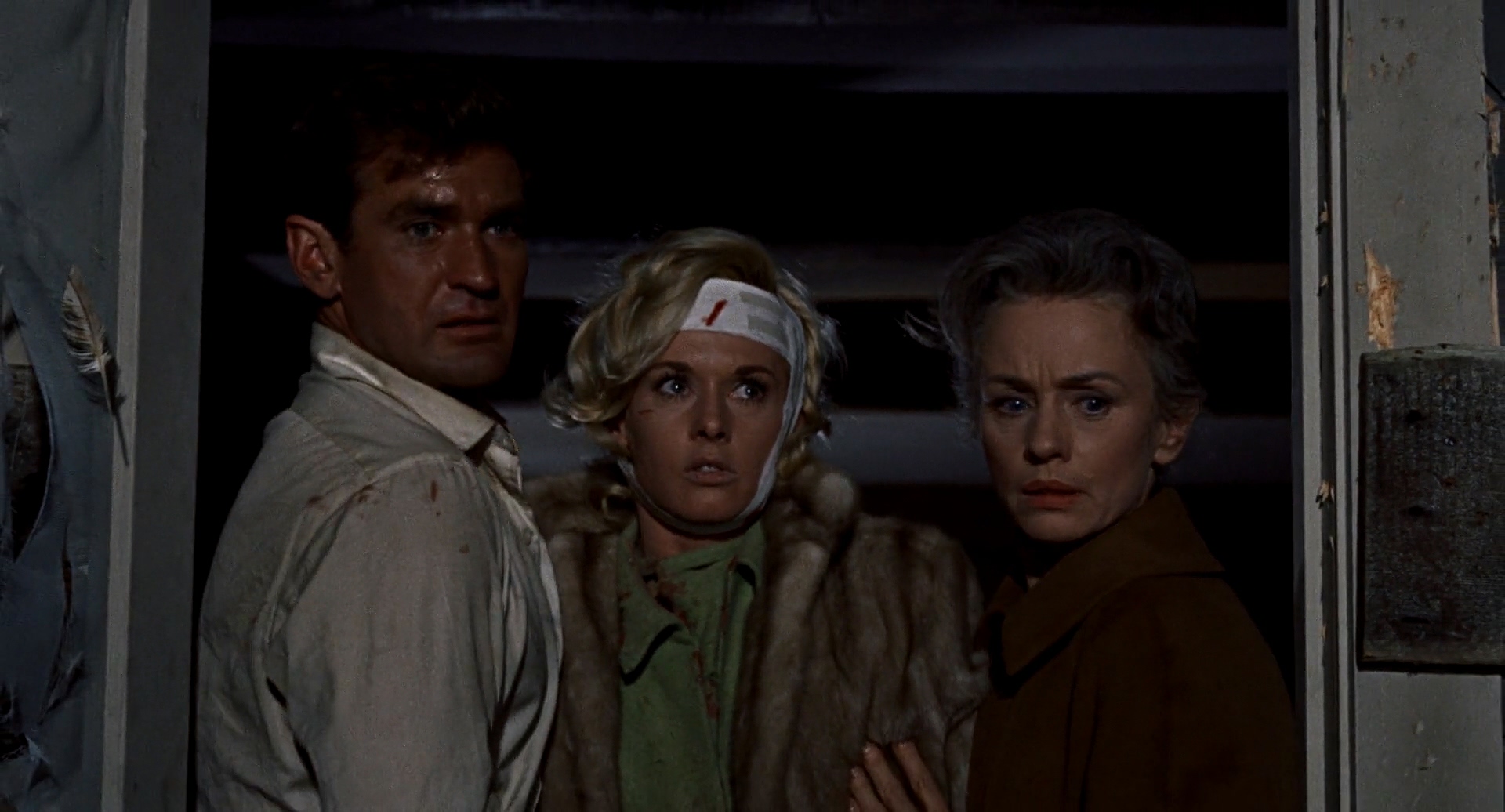 Tippi Hedren, Jessica Tandy, and Rod Taylor in The Birds (1963)