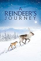 A Reindeer's Journey