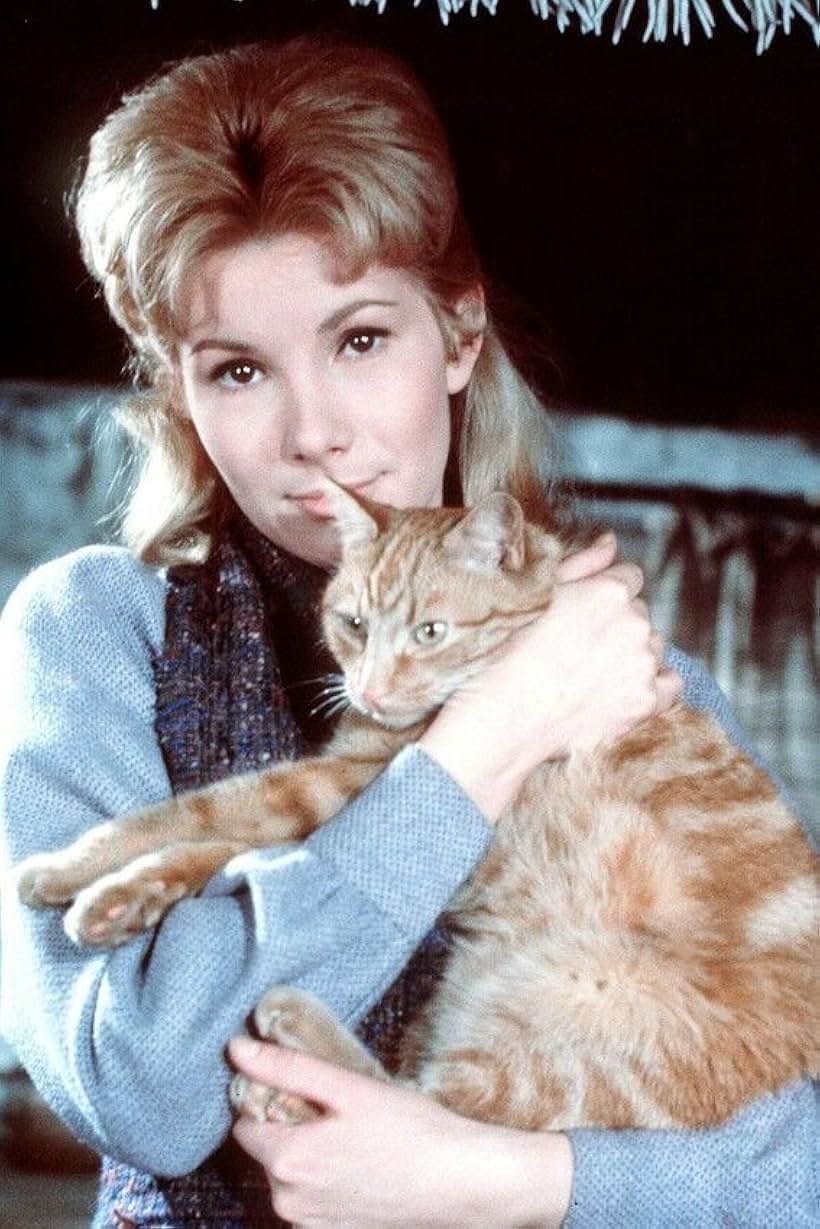 Susan Hampshire in The Three Lives of Thomasina (1963)