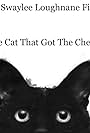 The Cat that got the Cheese (2018)