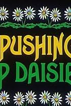 Pushing Up Daisies