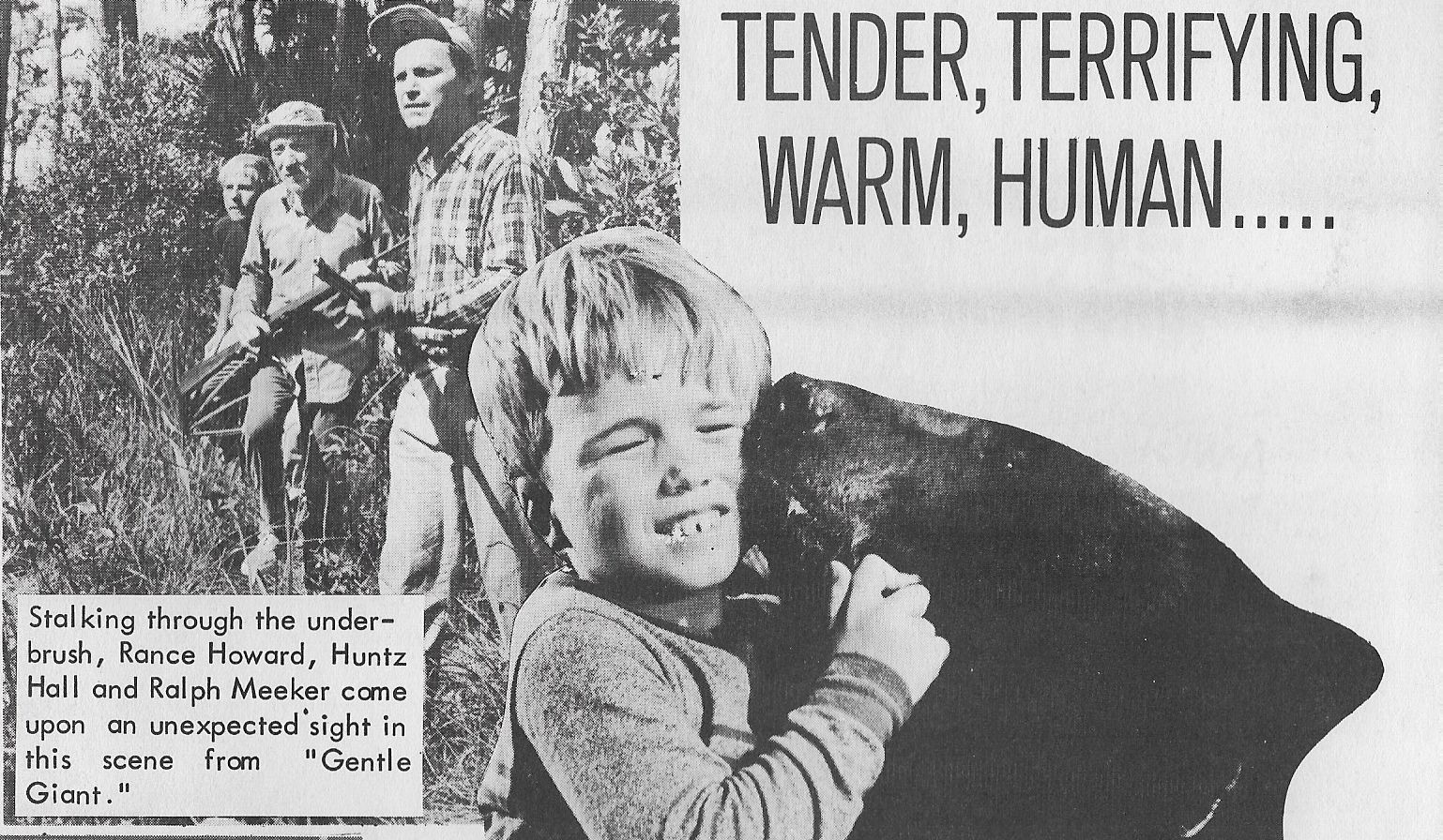 Huntz Hall, Clint Howard, Rance Howard, Ralph Meeker, and Bruno the Bear in Gentle Giant (1967)