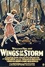 Wings of the Storm (1926)