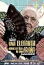 Una elefanta sobre la tela de una araña (2022)