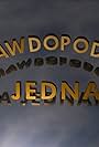 Nieprawdopodobne, a jednak... (2012)