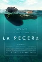 La Pecera