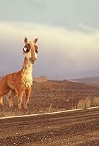 Caminandes: Llama Drama (2014)