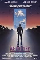 Mr. Destiny