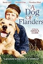 A Dog of Flanders