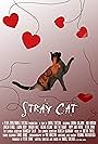 Stray Cat (2019)