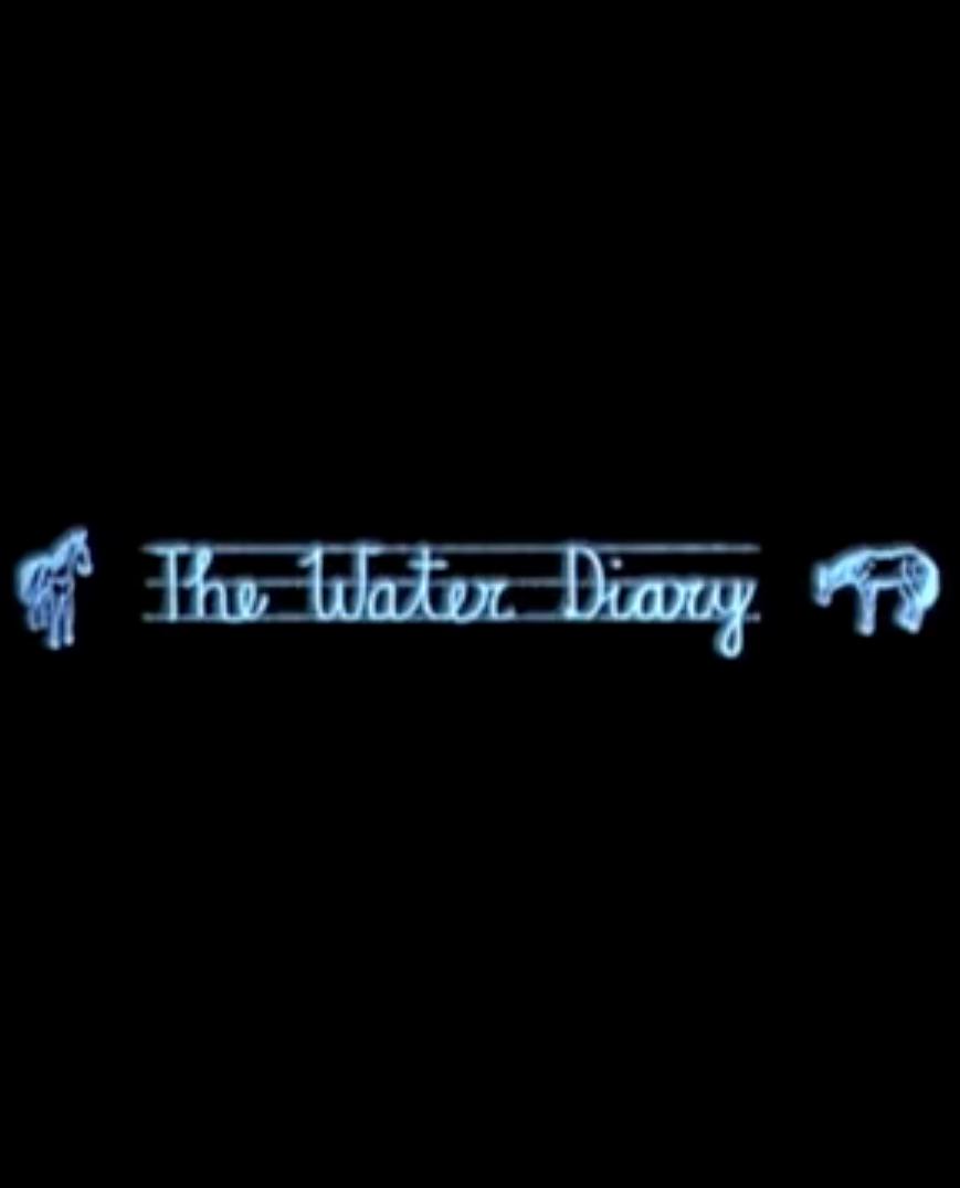 The Water Diary (2006)