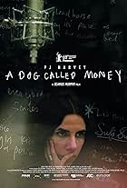 A Dog Called Money