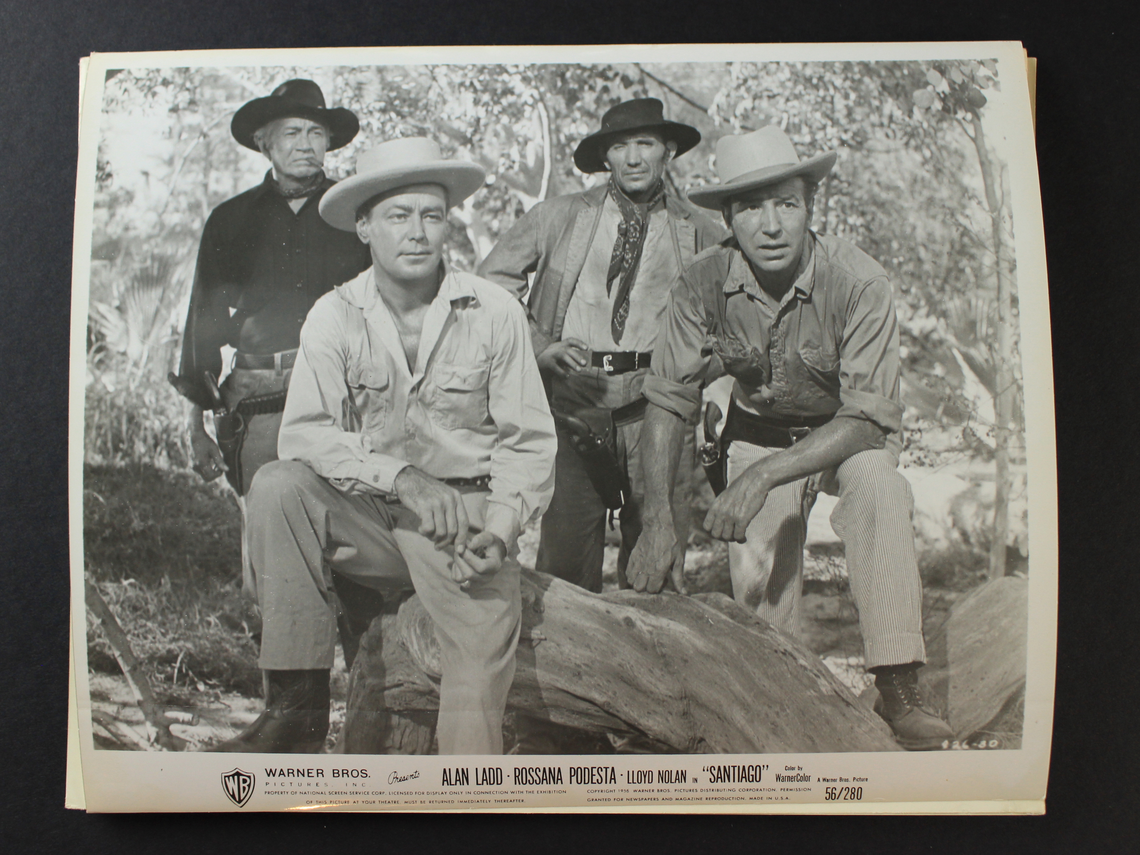 Alan Ladd, Lloyd Nolan, Rossana Podestà, and Chill Wills in Santiago (1956)