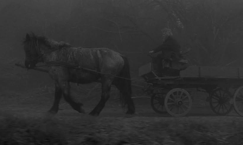 János Derzsi and Ricsi in The Turin Horse (2011)