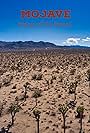 Mojave: Vistas of the Desert (2022)