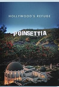 Primary photo for Poinsettia - Hollywood's Refuge