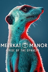 Primary photo for Meerkat Manor: Rise of the Dynasty