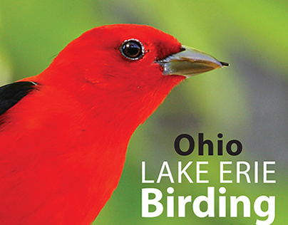 Bird Walk at Put-in-Bay Ohio