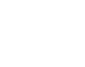 Commission on Collegiate Nursing Education Accredited