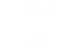 Fisu