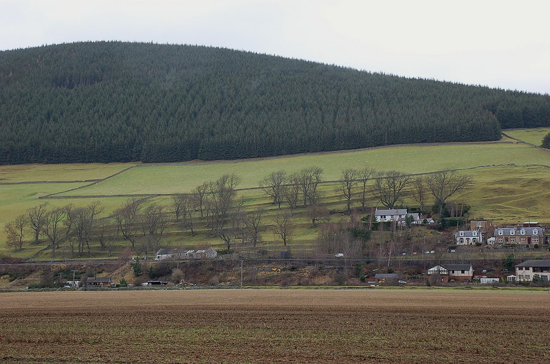 File:Cultivation terraces, Walkerburn (geograph 2232191).jpg